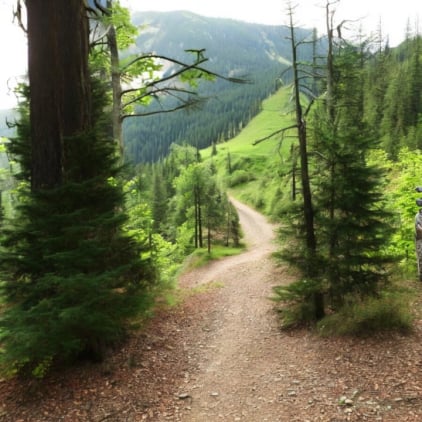 excursie-atv-busteni