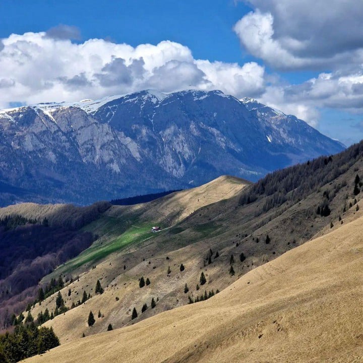 priveliste-muntii-baiului