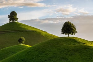 Muntii Baiului